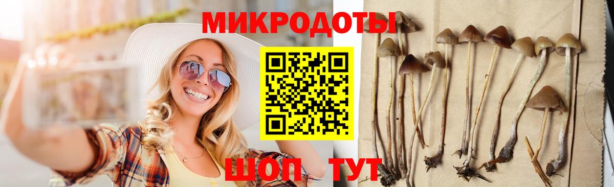 Кимовск  Псилоцибиновые грибы MAGIC MUSHROOMS  Галлюциногенные грибы прущие грибы  дарнет шоп  Вход с VPN 